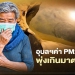 อุบลราชธานีค่า PM2.5 พุ่งเกินมาตรฐานผู้ว่าฯสั่งงดเผาทุกชนิด